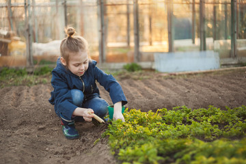 The child girl plants seedlings. Gardening agriculture.