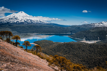 Parque Conguillio, Temuco, Chile