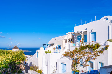 Fototapeta premium Traditional whitewashed houses in Oia, Santorini, Greece