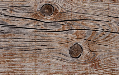 Texture photo of grey, worn, shabby, old and cracked wood which was exposed to weather and sun for years and which shows knots and growth rings. Ideal as a background