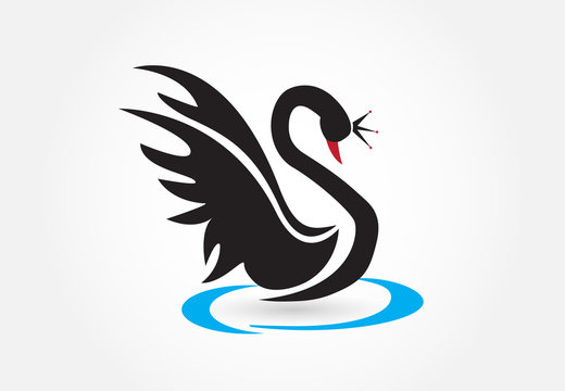 Black Swan Logo Vector