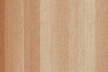 wood timber tree wooden backdrop structure texture background wallpaper