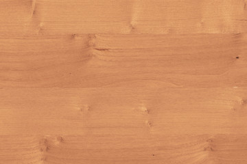 wood timber tree wooden backdrop structure texture background wallpaper