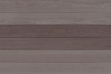 wood timber tree wooden backdrop structure texture background wallpaper