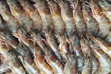 Many raw fresh banana shrimp on seafood tray