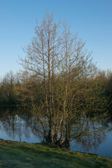 Obraz premium Spring landscape