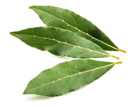 Fresh and dry bay leaves. With balls of black pepper. Isolated on white background.