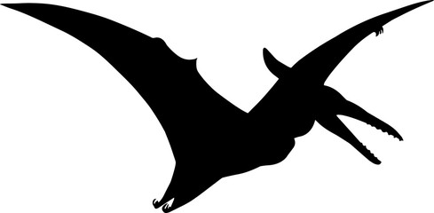Pteranodon 3 isolated vector silhouette © Loveleen