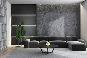 Concrete living room interior with gray sofa