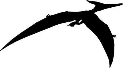 Pteranodon 4 isolated vector silhouette © Loveleen