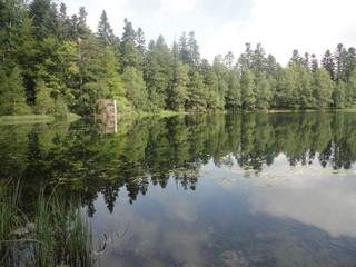 Reflets dans lac