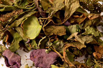 Close up detailed image of  dried colorful Patchouli, Pogostemon cablin, leaves and flowers used for aromatherapy and incense. Member of the mint deadnettle family.