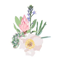 Floral tropical illustration, Leaf and flowers. Botanic composition for wedding, greeting card. Branch of pink protea, peony flowers, and herbs. 