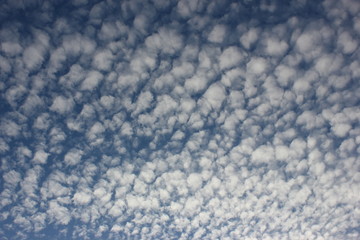 Cotton-wool clouds on blue sky.  