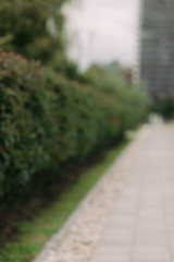 blur background of path way in the city park