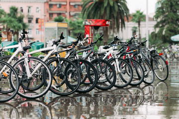 Row of parked different bicycles. bicycles stand on a parking for rent after the rain