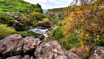 trees and flowers in the mountains in nature