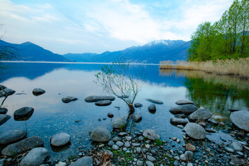 Lago