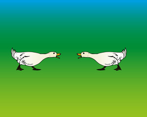 Isolated silhouette of couple geese on green background. Vector illustration.