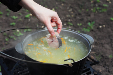 Сooking fish soup on the fire