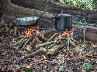 Amazon Jungle
