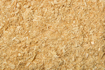 Background from a freshly cut brown sawdust