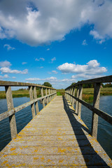 wooden bridge in nature park Tiendgorzen in Nieuwendijk. The Netherlands