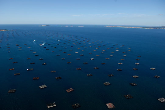 images of mussel rafts in galicia