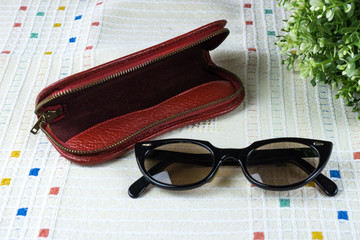 Brille mit Etui