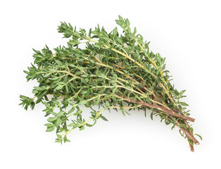 Fresh thyme isolated on white background