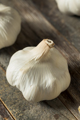 Raw Organic Garlic Bulbs