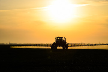 Fototapeta premium tractor with the help of a sprayer sprays liquid fertilizers on young wheat in the field.