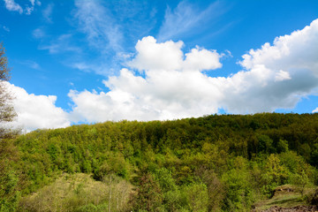 Obraz premium Beautiful panoramic landscape, forest and stormy cloudy sky. Amazing green nature.
