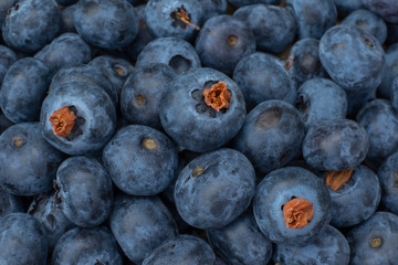 Alimentacion saludable: arandanos