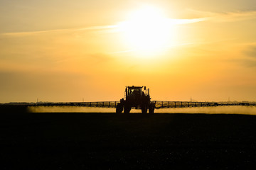 tractor with the help of a sprayer sprays liquid fertilizers on young wheat in the field.