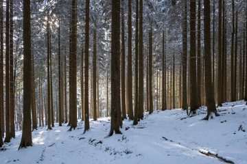 Winterlandschaft am Kahlen Asten