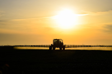 tractor with the help of a sprayer sprays liquid fertilizers on young wheat in the field.
