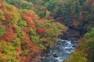 Fototapeta na wymiar Autumn in Hachimantai, Tohoku region