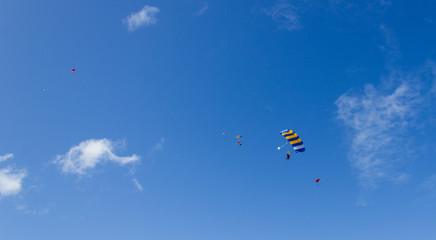 Obraz na płótnie Canvas Silhouette of sky divers flies back to the ground after a tandem skydive, byron bay, queensland, australia