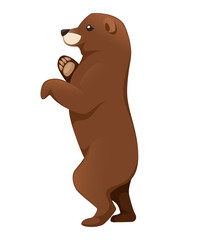 Grizzly bear. North America animal, brown bear. Cartoon animal design. Flat vector illustration isolated on white background. Bear stand on two legs, side view. Big cute dangerous animal
