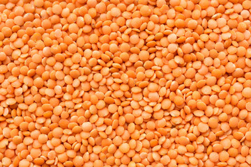 Background with a lot of red lentils.