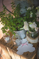 Garden composition with potted thyme plant, white roses, candles in a glass jar and a pink cardboard bear, on a wooden box in a rustic setting