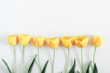 Beautiful composition of spring flowers. Yellow tulips flowers on white background. Valentine's...
