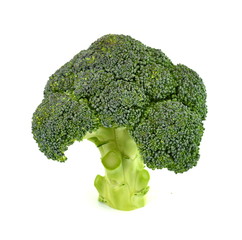 Broccoli isolated on a white background. Fresh raw broccoli on white surface.