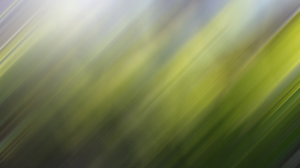 Green vegetative natural dynamic blurred lines background.