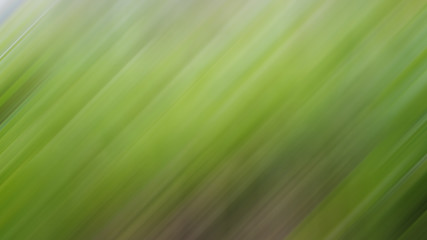 Green vegetative natural dynamic blurred lines background.