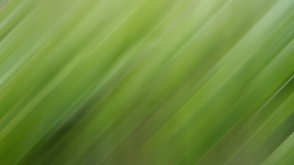 Green vegetative natural dynamic blurred lines background.