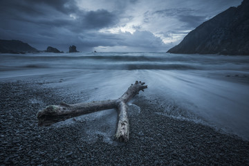 Spectacular view of driftwood on gloomy seashore around splashing waves on background of cliff and rainy sky
