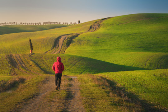 Back view of man in jacket walking on empty rural road in majestic green fields of Italy