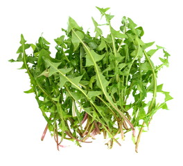 Bunch of fresh dandelion leaves on a white background 